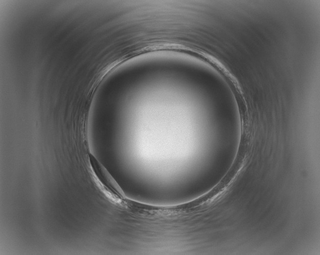 X0000056020905200508191324