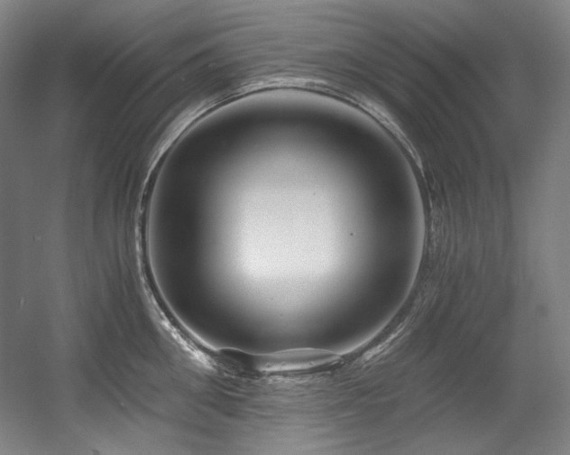 X0000056020906200508191324