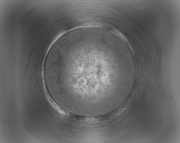X0000056020907200508191324