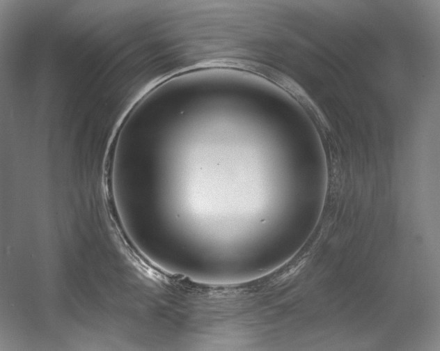 X0000056020908200508191324