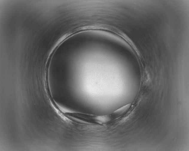 X0000056020909200508191324