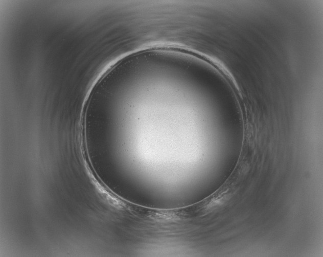 X0000056020911200508191324