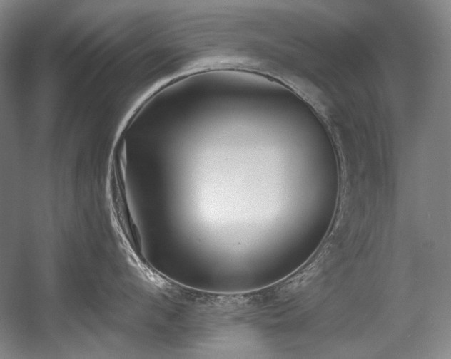X0000056020912200508191324