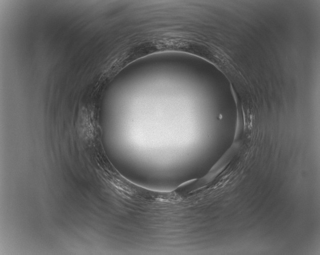 X0000056020915200508191323