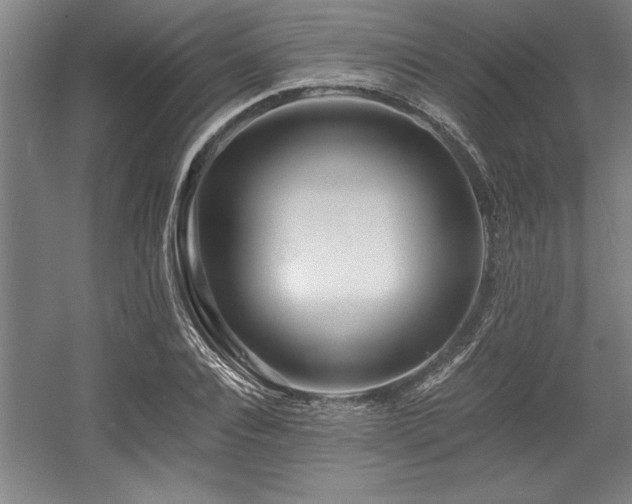 X0000056020928200508191323