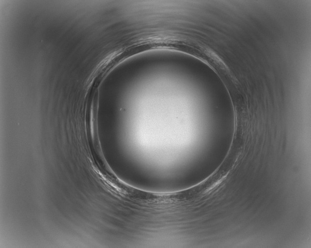 X0000056020930200508191324