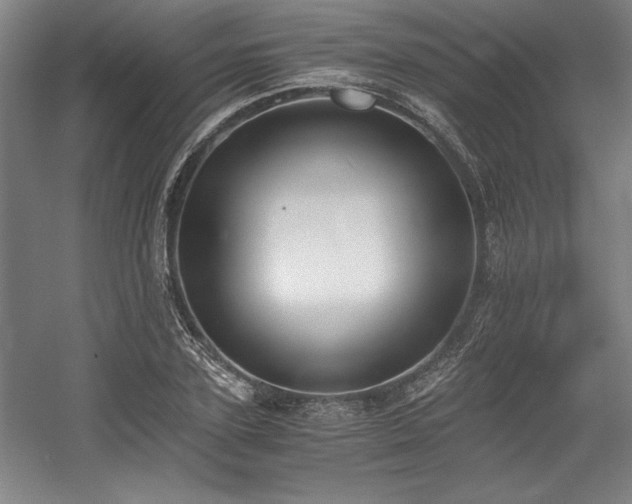 X0000056020931200508191324