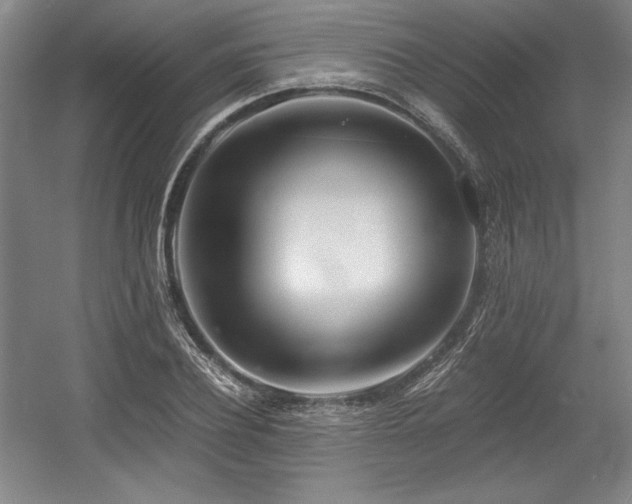 X0000056020932200508191324