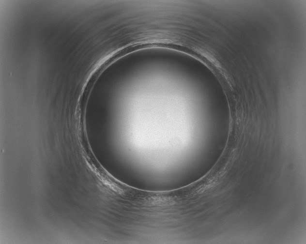 X0000056020933200508191324