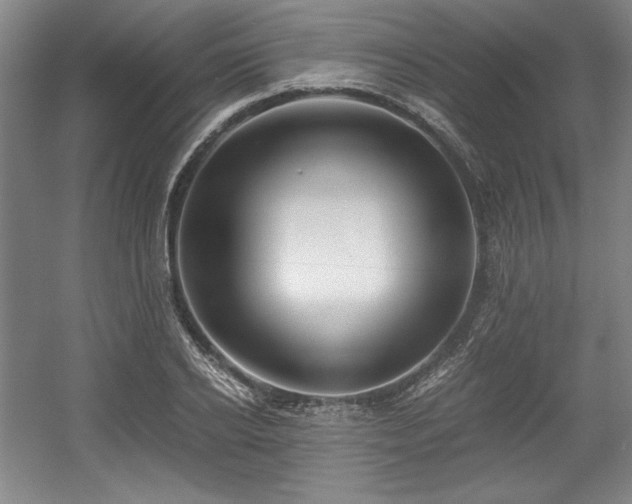 X0000056020934200508191324