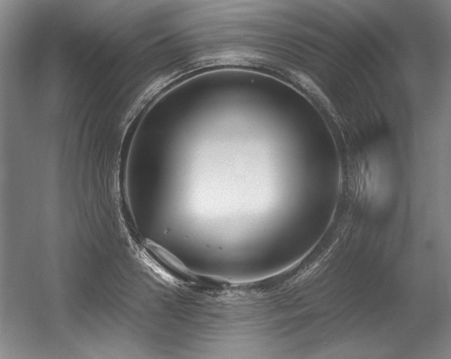 X0000056020938200508191324