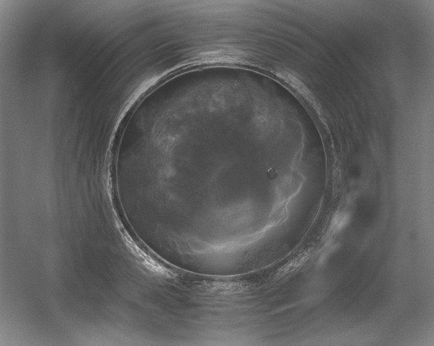 X0000056020941200508191324