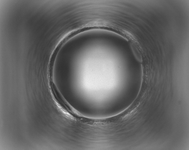 X0000056020942200508191324
