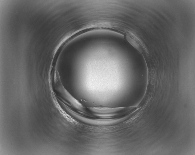 X0000056020944200508191324