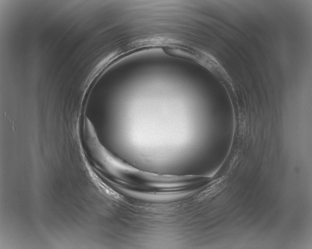 X0000056020946200508191324