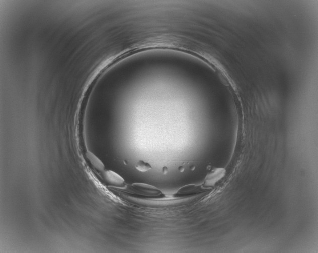 X0000056020949200508191324