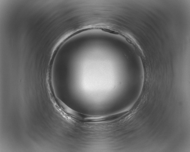 X0000056020952200508191324