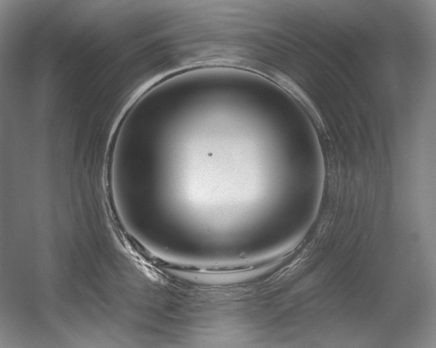 X0000056020956200508191324