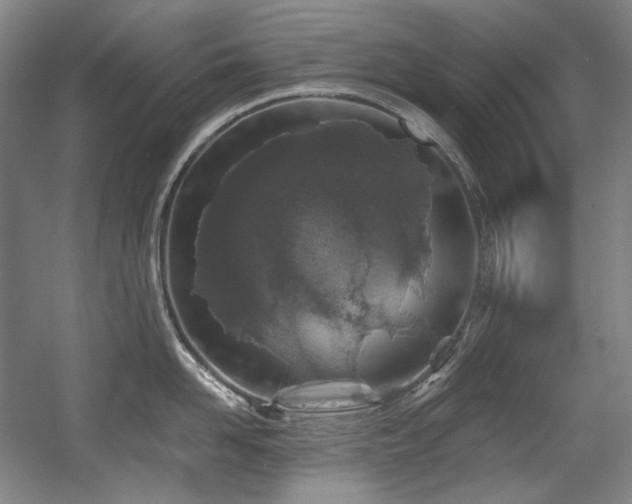 X0000056020958200508191324