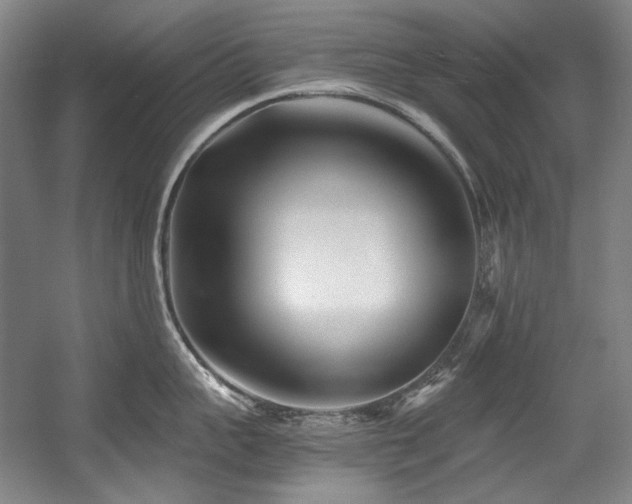 X0000056020959200508191324