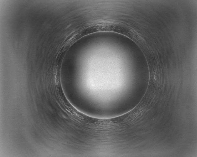 X0000056020964200508191323