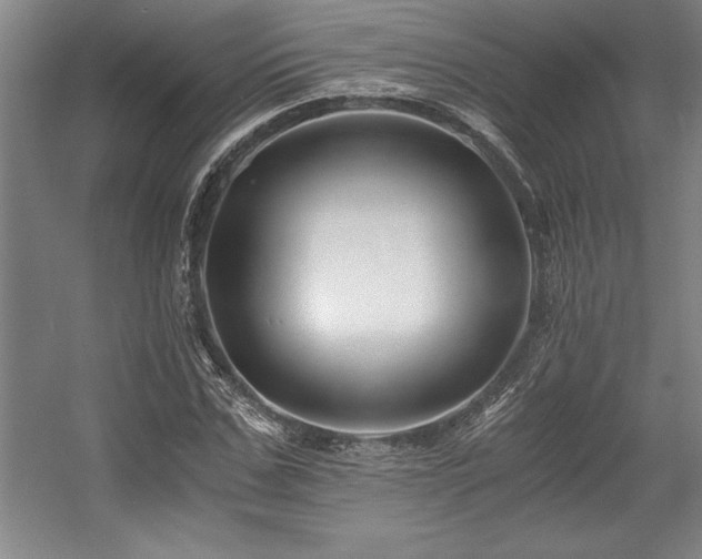 X0000056020971200508191323