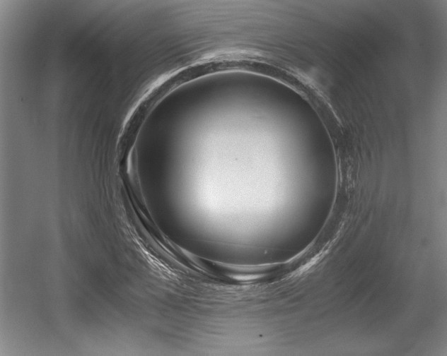 X0000056020973200508191323