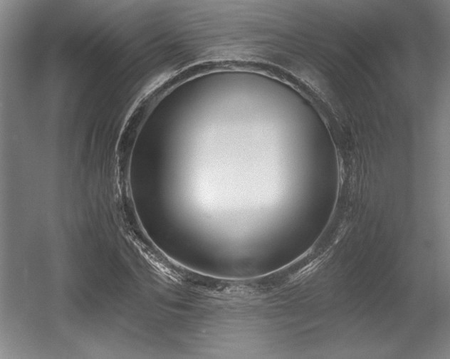 X0000056020974200508191323