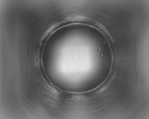 X0000056020978200508191323