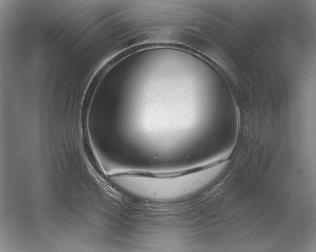 X0000056020980200508191323