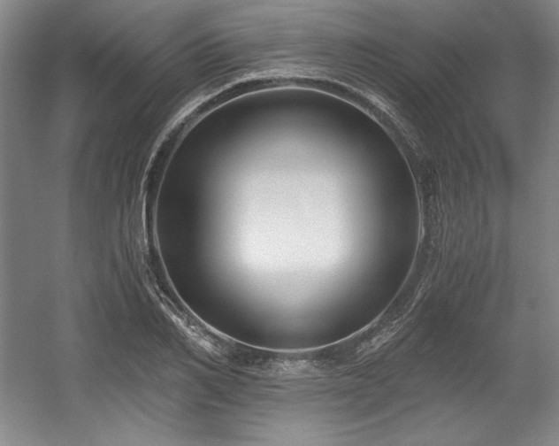 X0000056020982200508191323