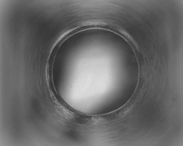 X0000056020983200508191323