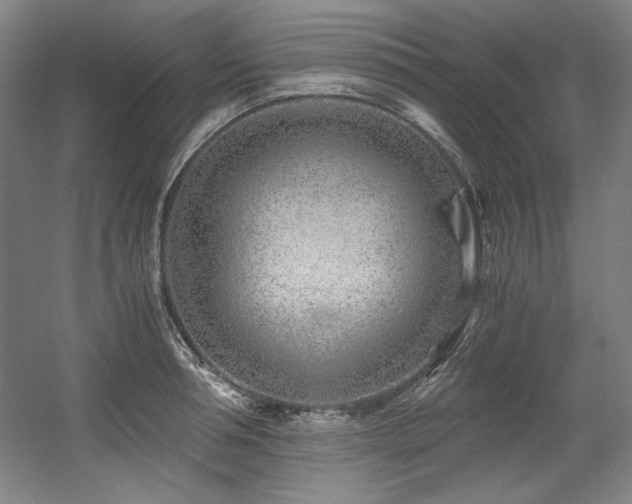 X0000056020994200508191323