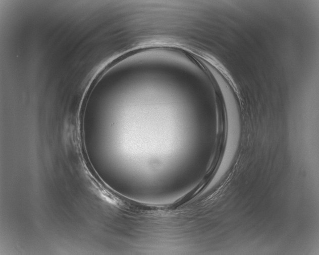 X0000056020996200508191323