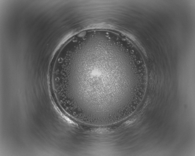 X0000056020998200508191323