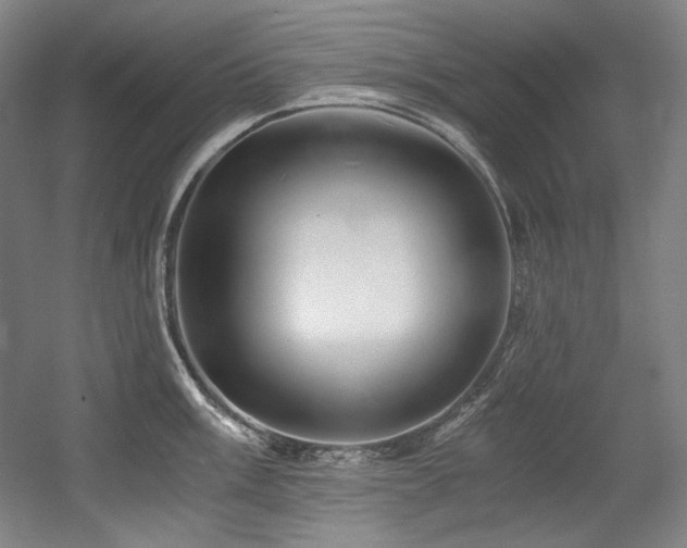 X0000056021003200508191322