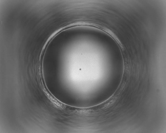 X0000056021004200508191322