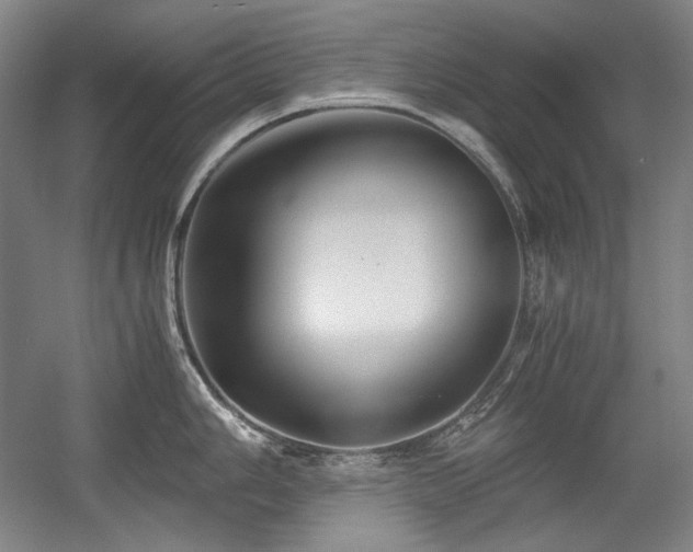 X0000056021006200508191322