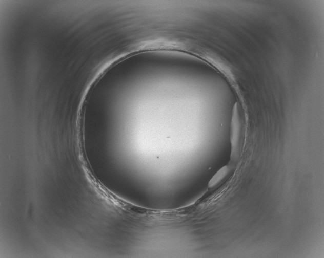 X0000056021008200508191322