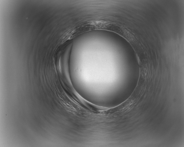 X0000056021010200508191322