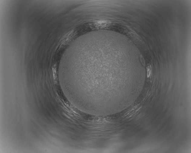 X0000056021011200508191322