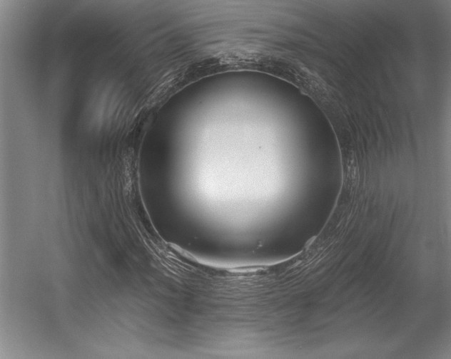 X0000056021012200508191322