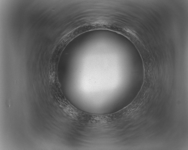X0000056021015200508191322