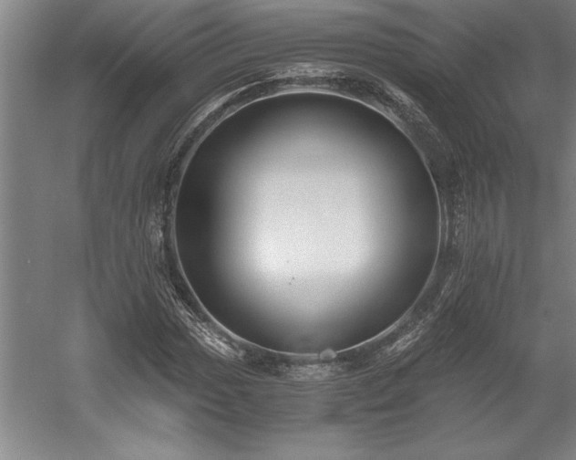 X0000056021017200508191322