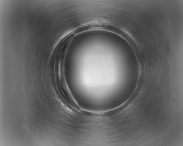 X0000056021018200508191322