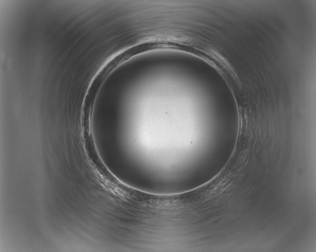 X0000056021020200508191322