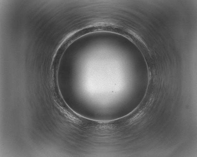 X0000056021021200508191322
