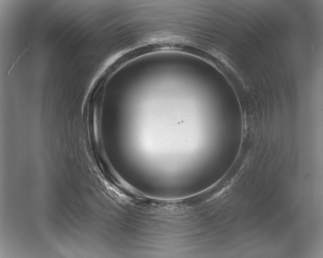 X0000056021022200508191322
