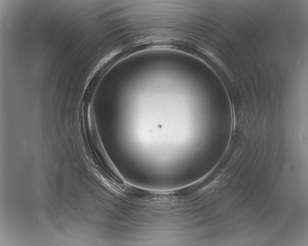 X0000056021026200508191322