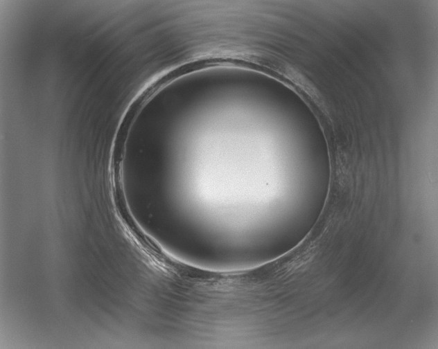 X0000056021028200508191322